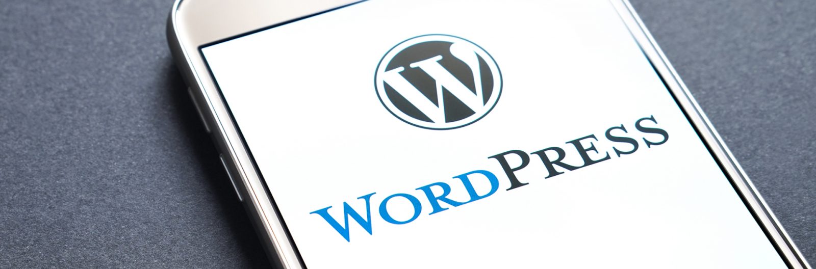 wordpress APP development